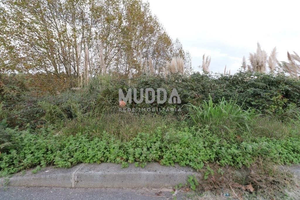 Land for sale in Santa Maria da Feira, Portugal — €50,000