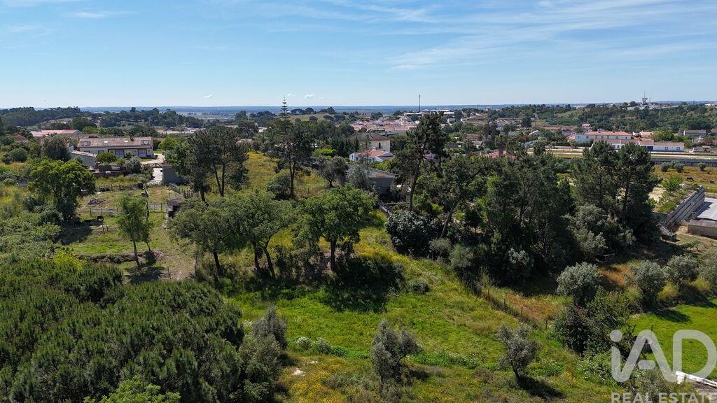 Land in Coruche - Image 5