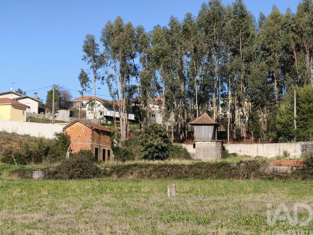 Land in Sameiro - Image 5