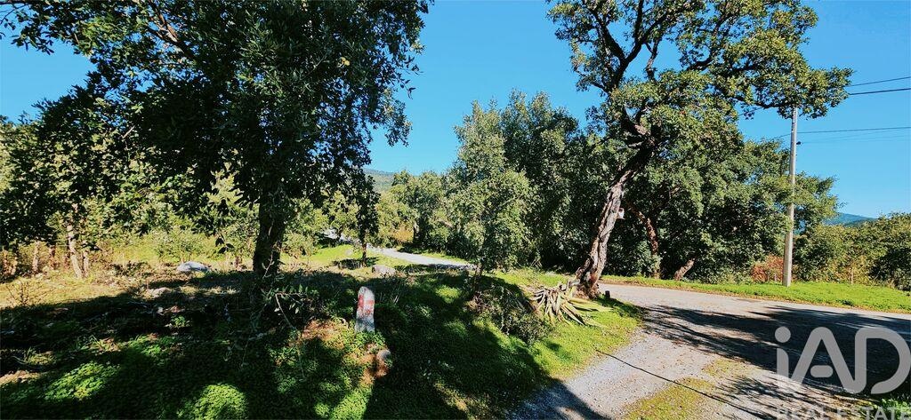 Land in Monchique - Image 3