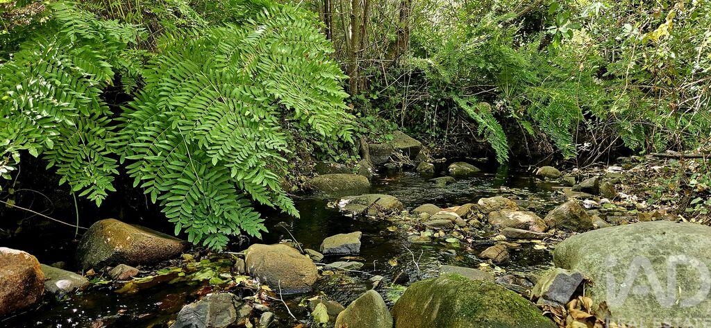 Land in Monchique - Image 3