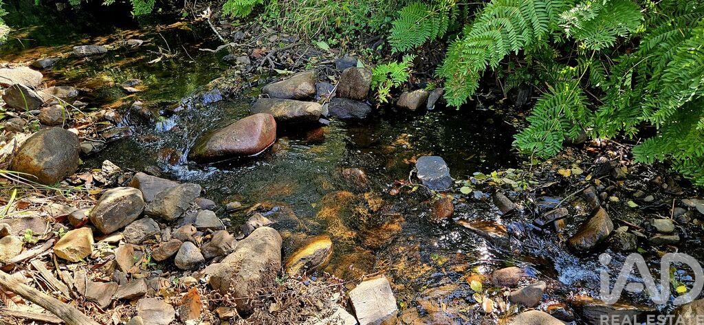 Land in Monchique - Image 2