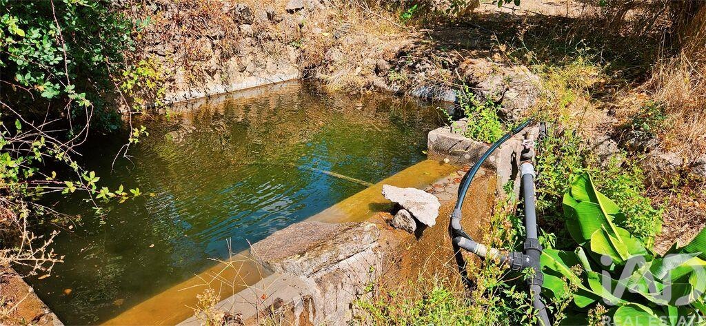 House in Monchique - Image 4