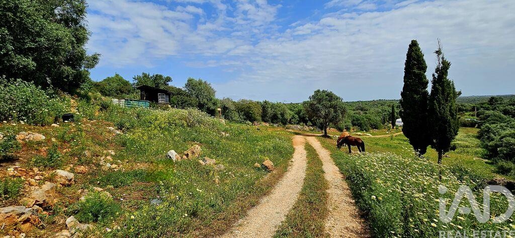 Land in Barao de Sao Miguel - Image 4