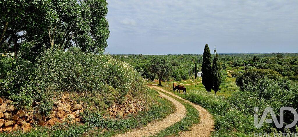 Land in Barao de Sao Miguel - Image 2