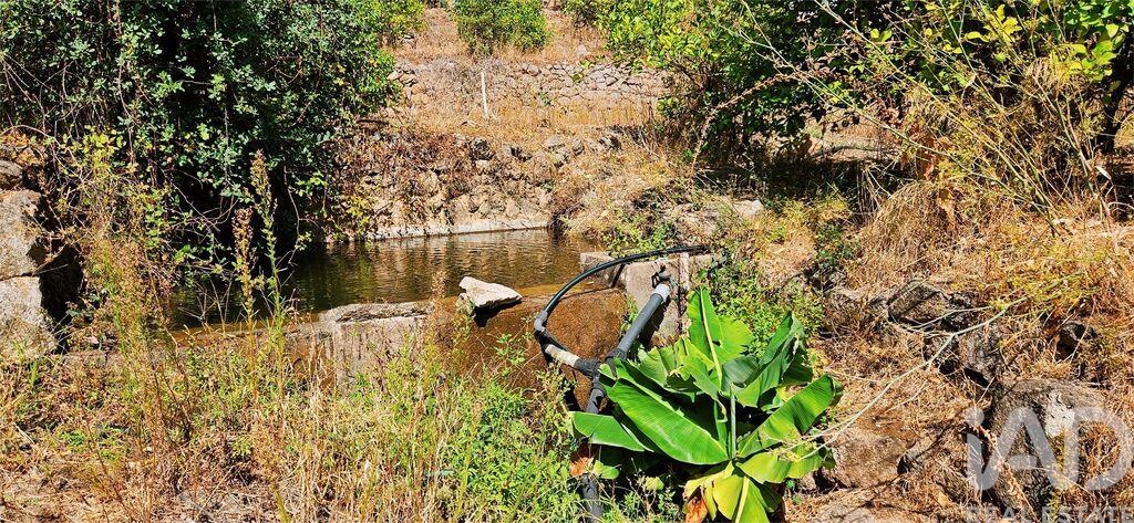 House in Monchique - Image 5