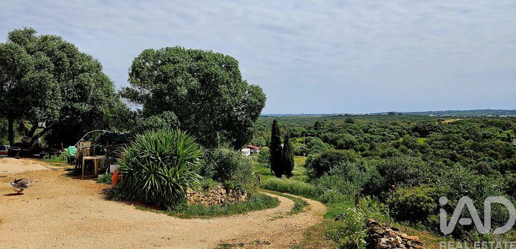 Land in Barao de Sao Miguel - Image 5