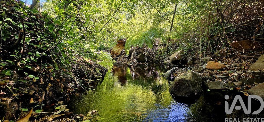 Land in Monchique - Image 4