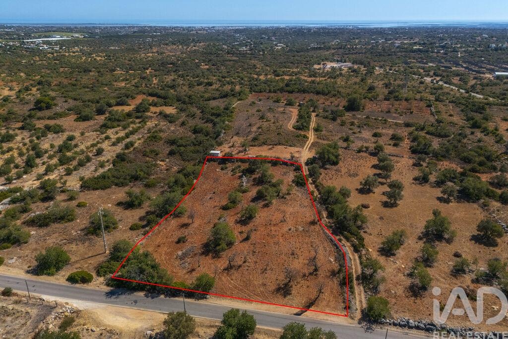 Land in Estoi - view 1