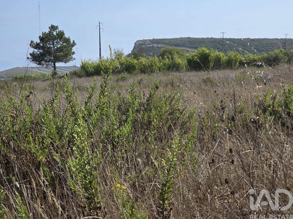 Land in Castelo - view 1
