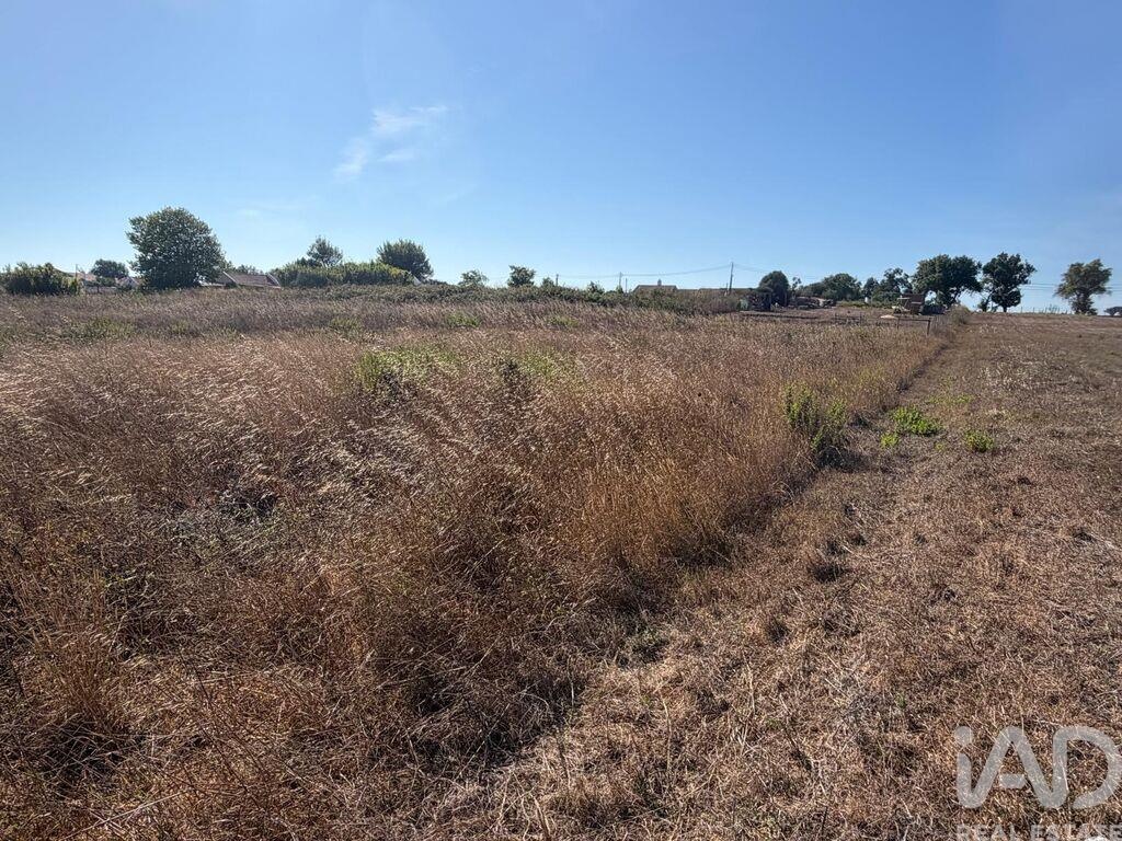 Land in Castelo - Image 5