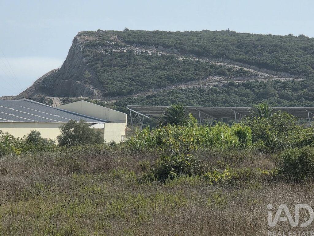 Land in Castelo - Image 2