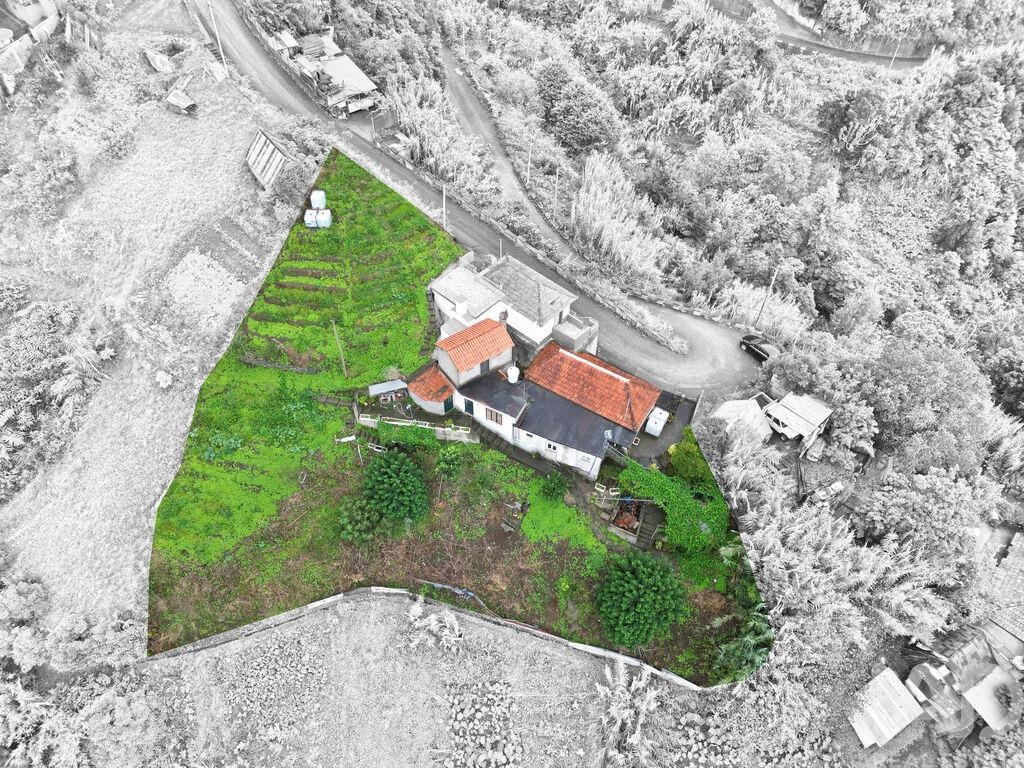 House in Porto da Cruz - Image 2