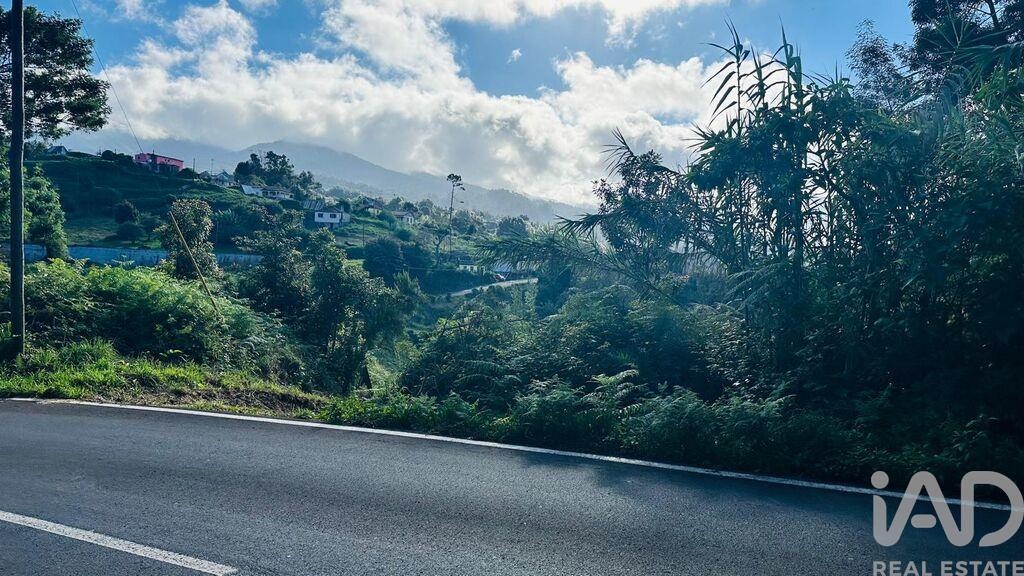 Land in Santana - Image 3