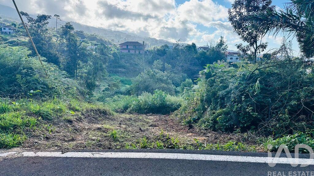 Land in Santana - Image 5