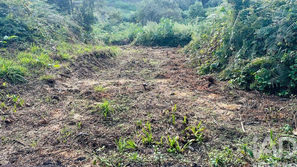 Land in Santana - Image 4