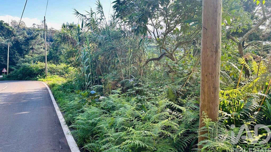 Land in Santana - Image 2