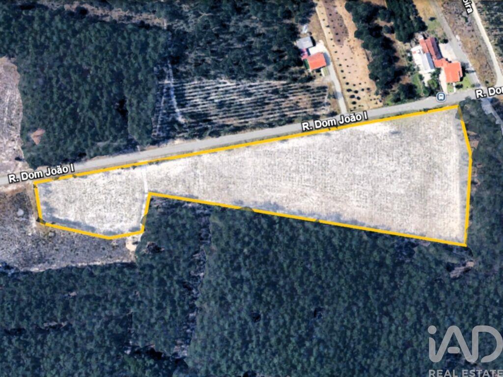 Land in Martinganca - view 1