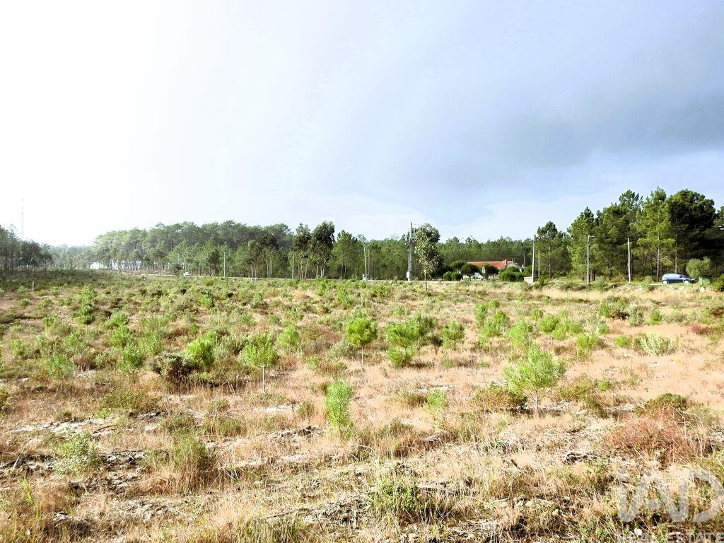 Land in Martinganca - Image 3