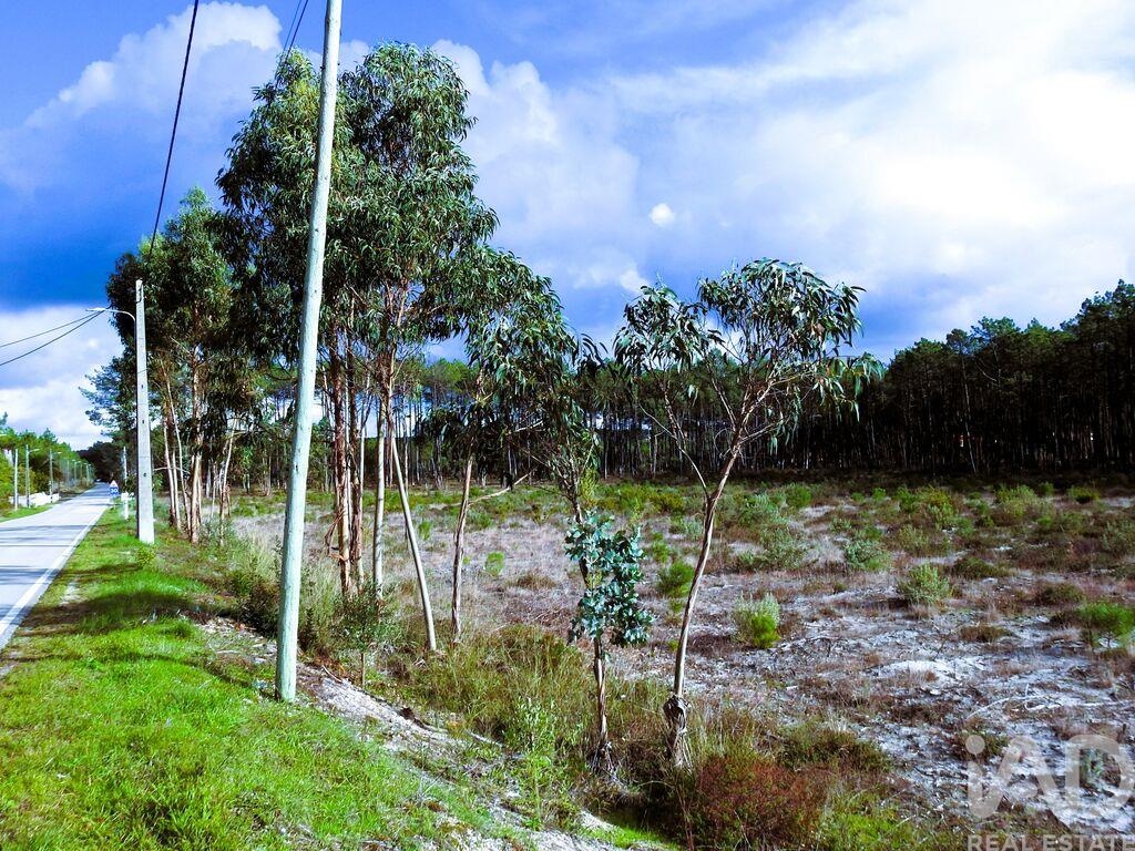 Land in Martinganca - Image 2