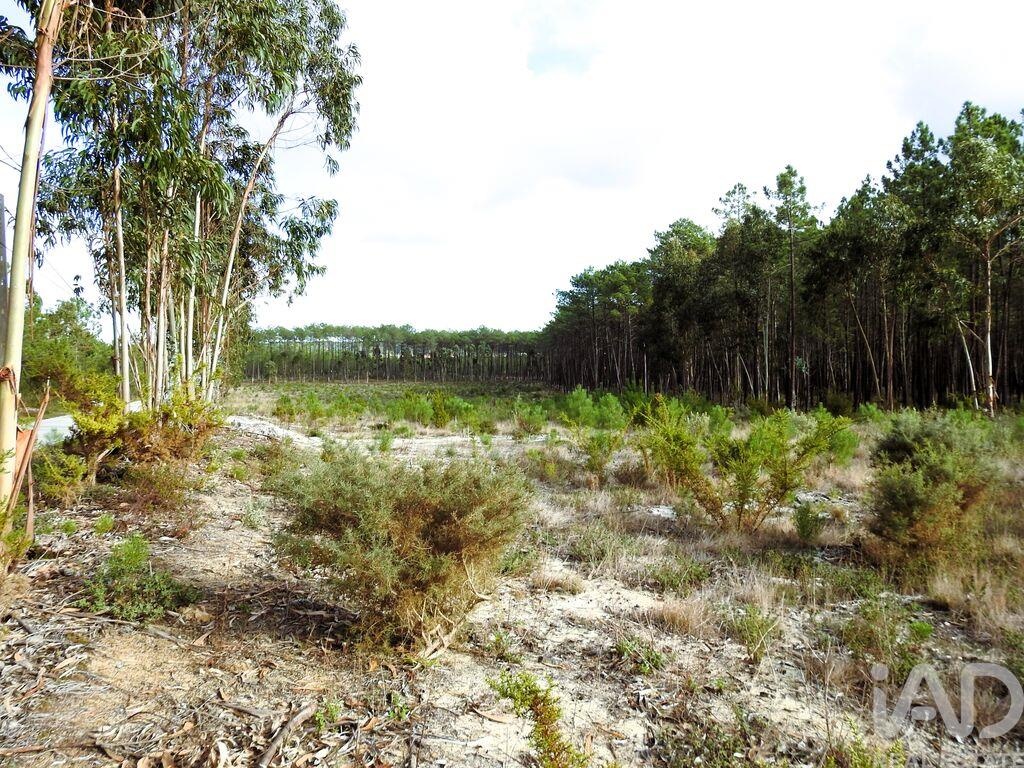 Land in Martinganca - Image 4