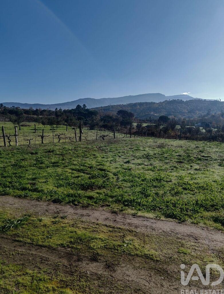 Land in Sao Paio de Gramacos - view 1