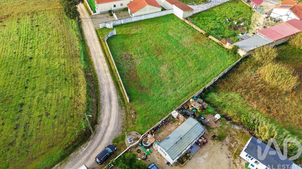 Land in Marteleira - Image 3