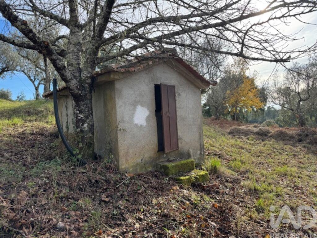 House in Pedrogao Pequeno - Image 3