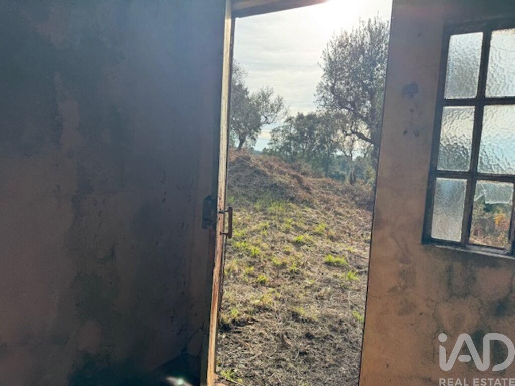 House in Pedrogao Pequeno - Image 5