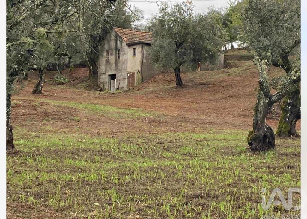 House in Pedrogao Pequeno - view 1