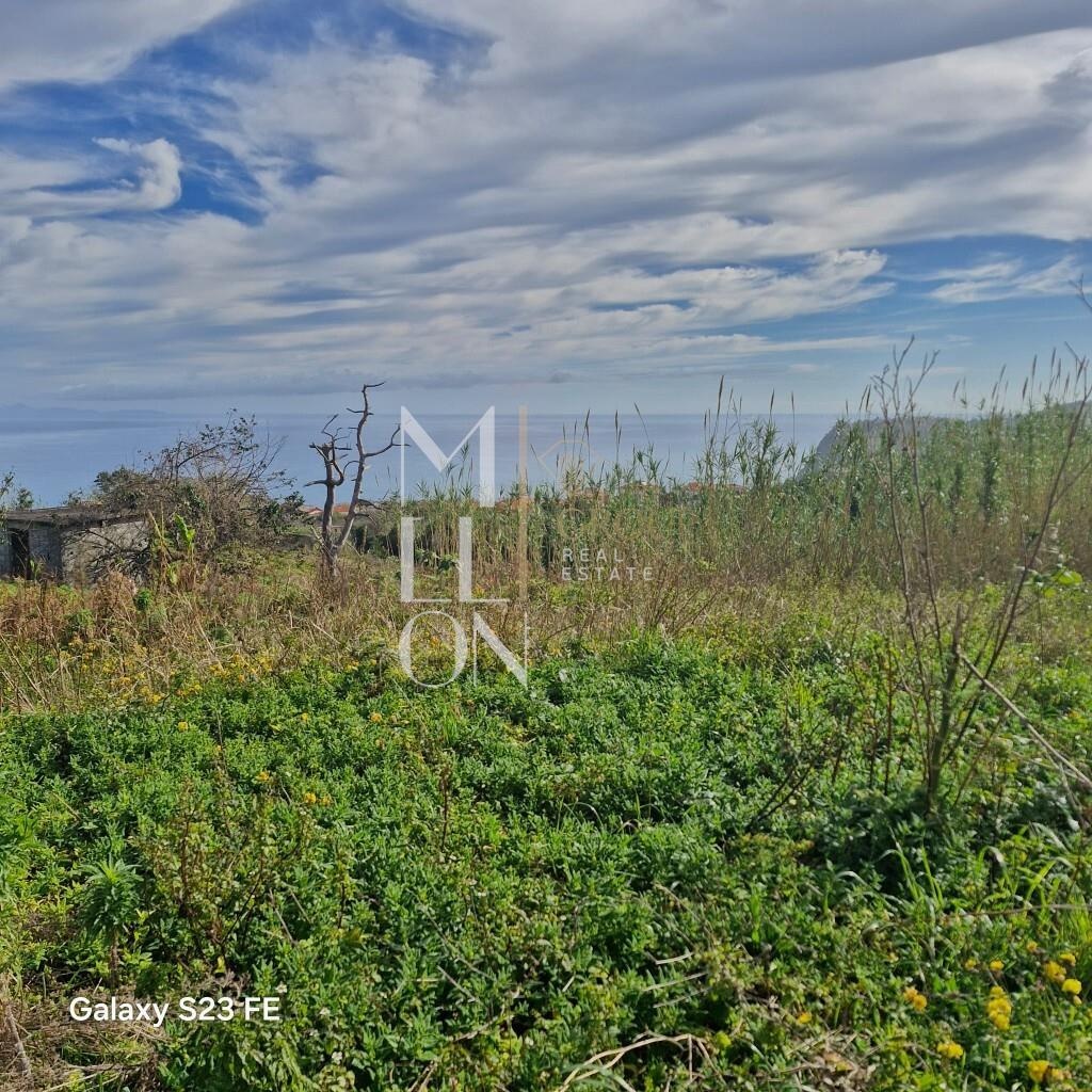 Terreno à venda no Farrobo | São Jorge | Santana