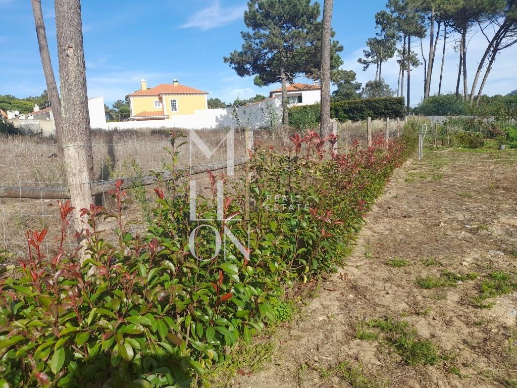 Terreno com projeto aprovado Colares, Sintra