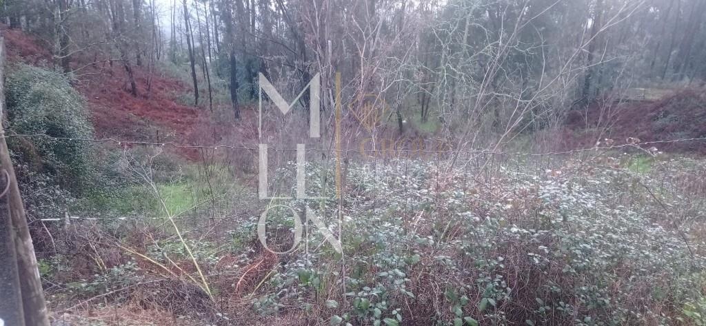 Terreno para Venda em Gondar – Amarante