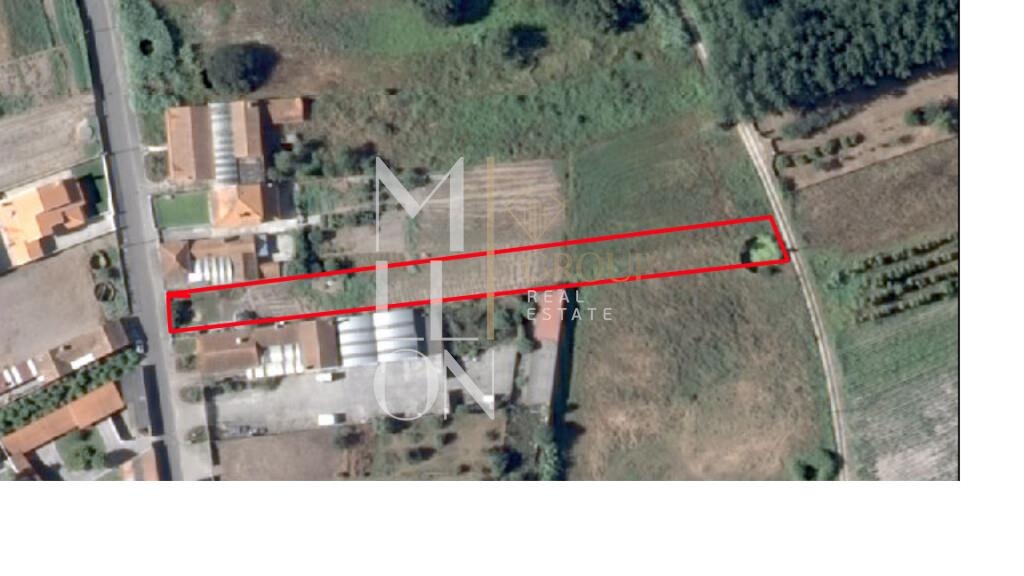 Terreno urbanizável na Rua da Rainha, em Bustos, concelho de Oliveira do Bairro