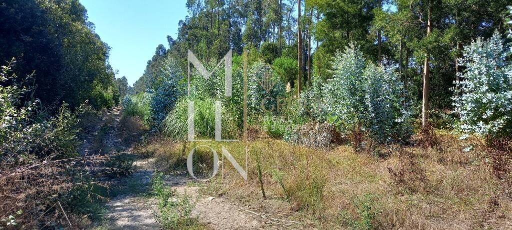 Terreno Rustico com 7800hectares de área total