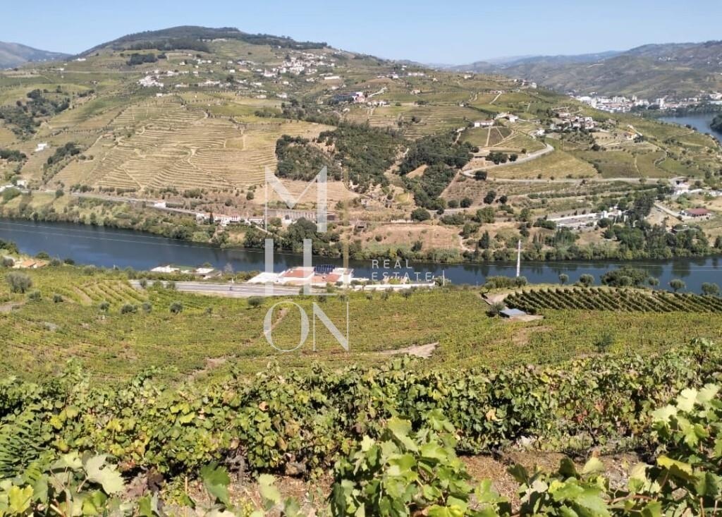 Quinta com 3 hectares e vistas desafogadas para o rio Douro