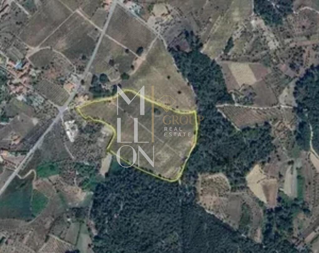 Quinta Vinhateira de Excelência no Coração do Dão