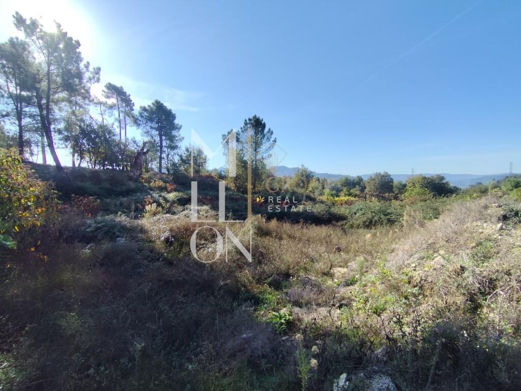 Terreno com 3.699M2, viabilidade de construção e venda em Arcos de Valdevez.