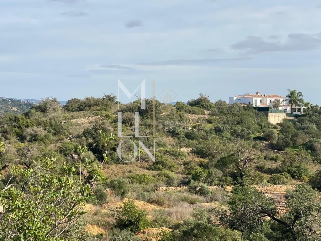 Terreno rustico com potencial de construção em análise