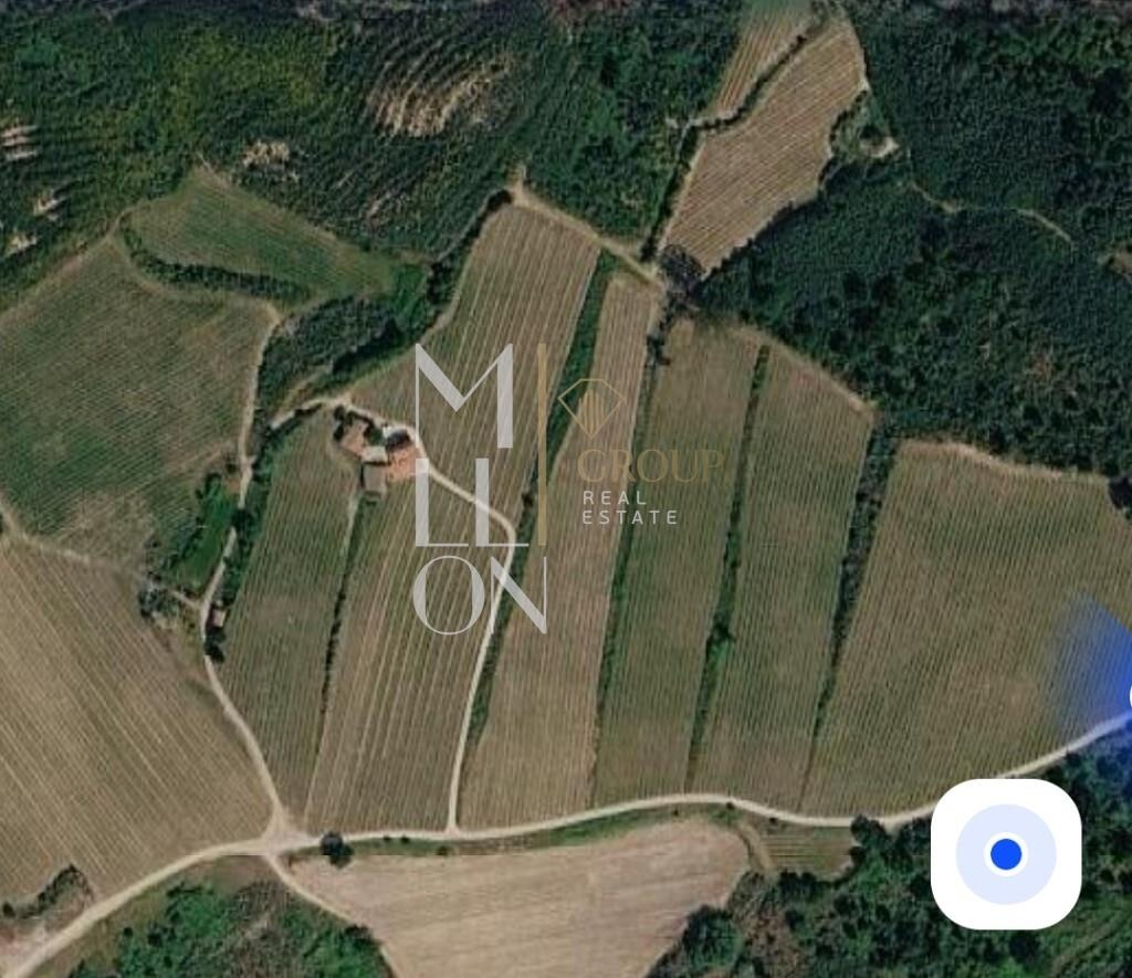 QUINTA COM 70 HECTARES NO CORAÇÃO DO DÃO - VISEU