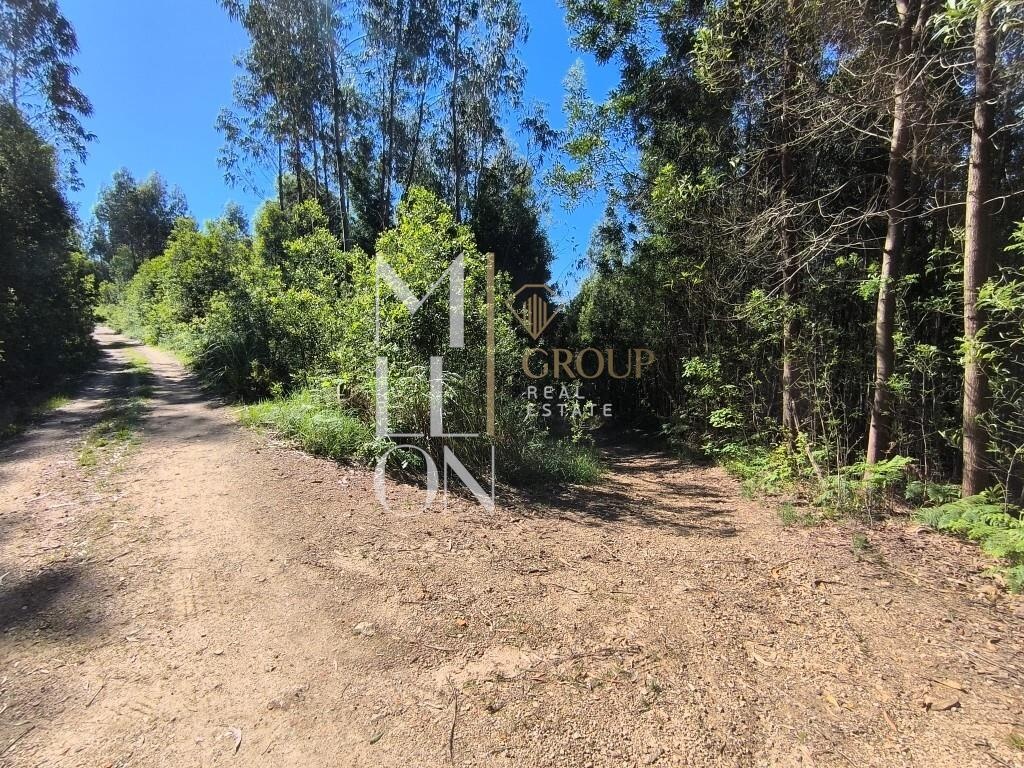 TERRENO | 3800 M2 | GRIJÓ