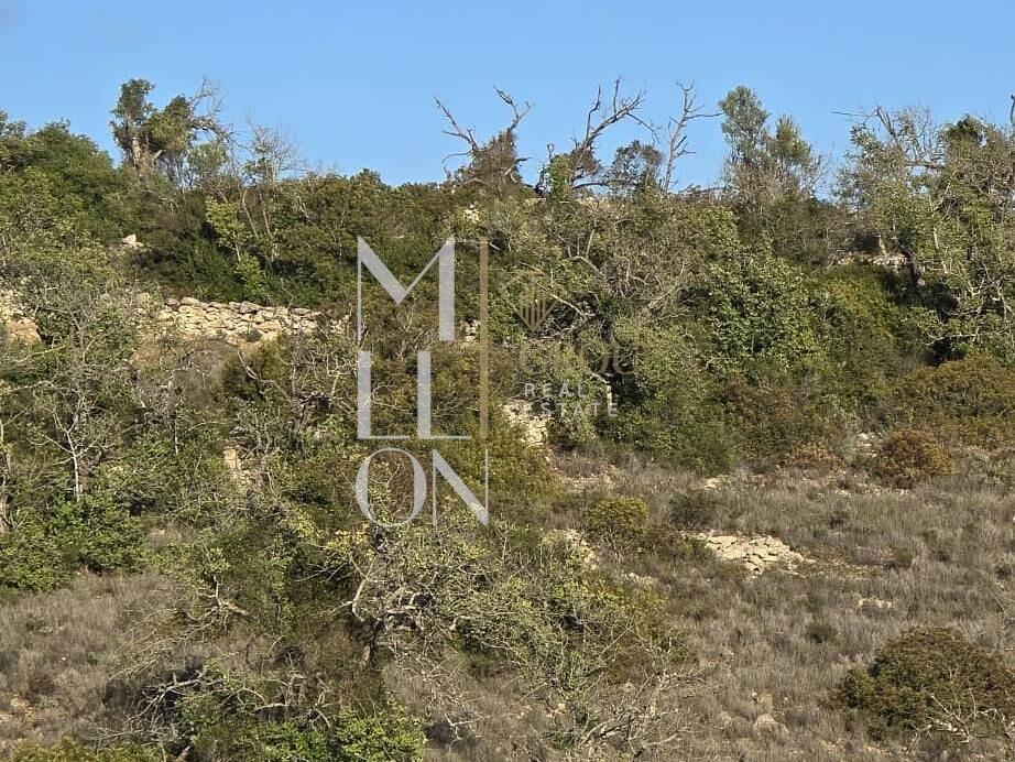 Terreno Rústico com Ruína e Vista Mar – 14.513 m² | Excelente Oportunidade