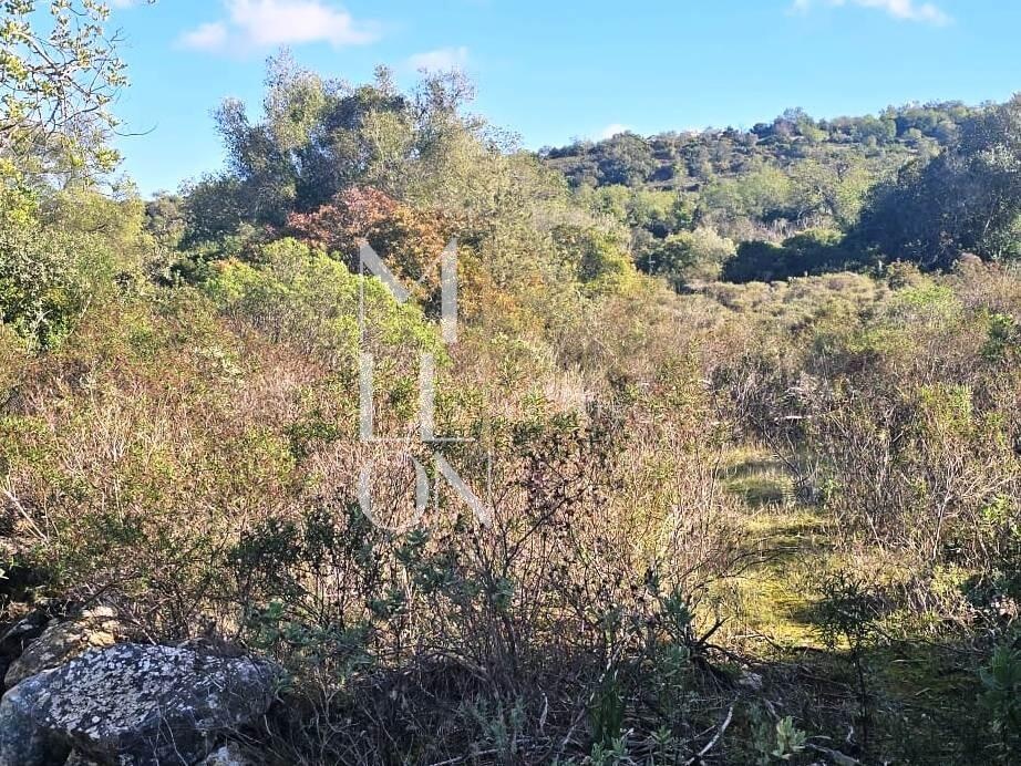 Terreno rústico com 4.000 m2 – Excelente oportunidade