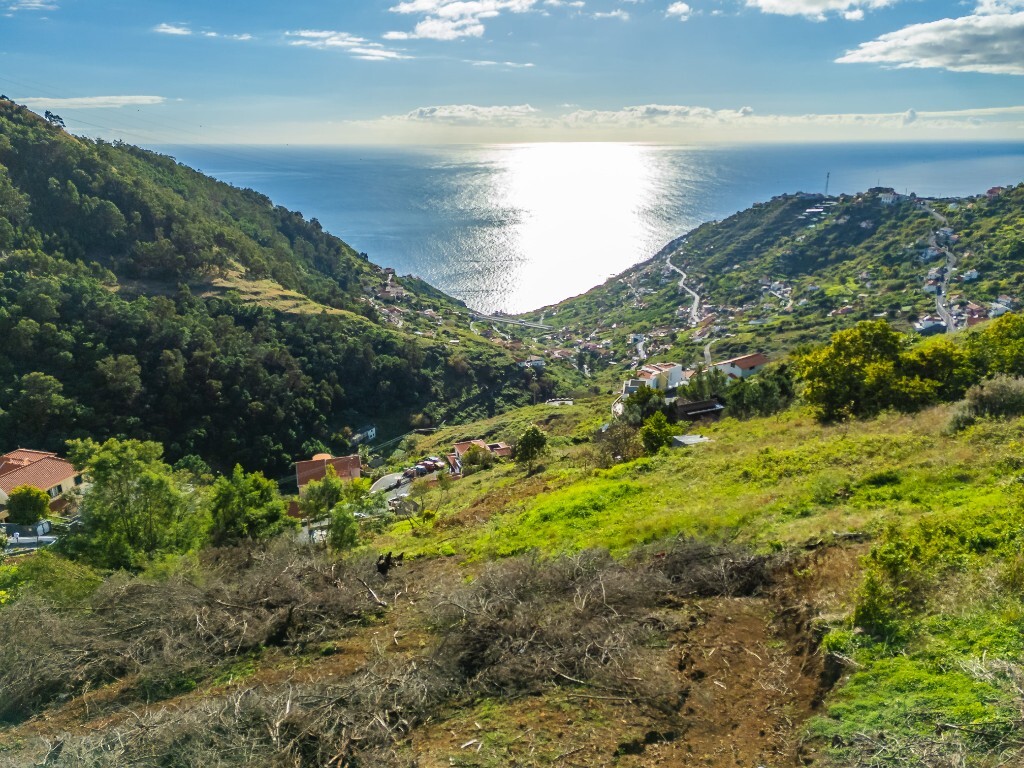 Ser Glicínia | Terreno para construcción | Campanario