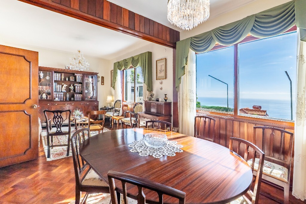 Ser Grifo | Residencia S. Roque | Funchal