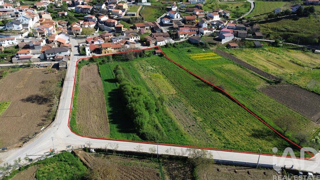 Land in Veiga de Lila - view 1