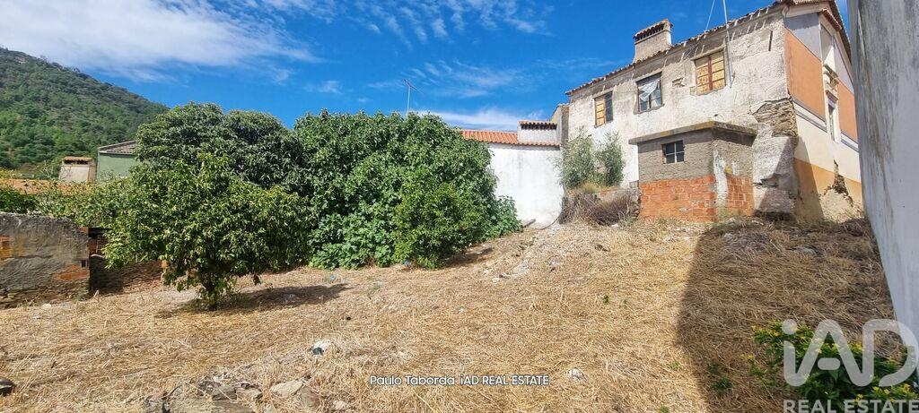 House in Nisa - Image 4
