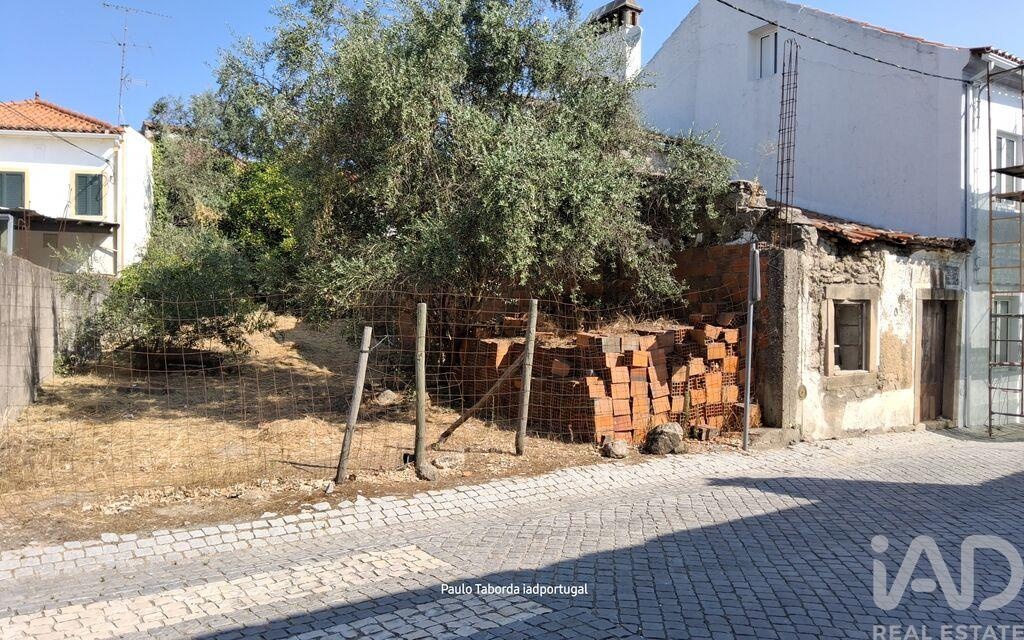 House in Amieira do Tejo - Image 2