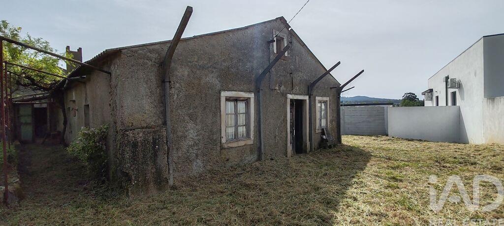 House in Avelar - Image 2