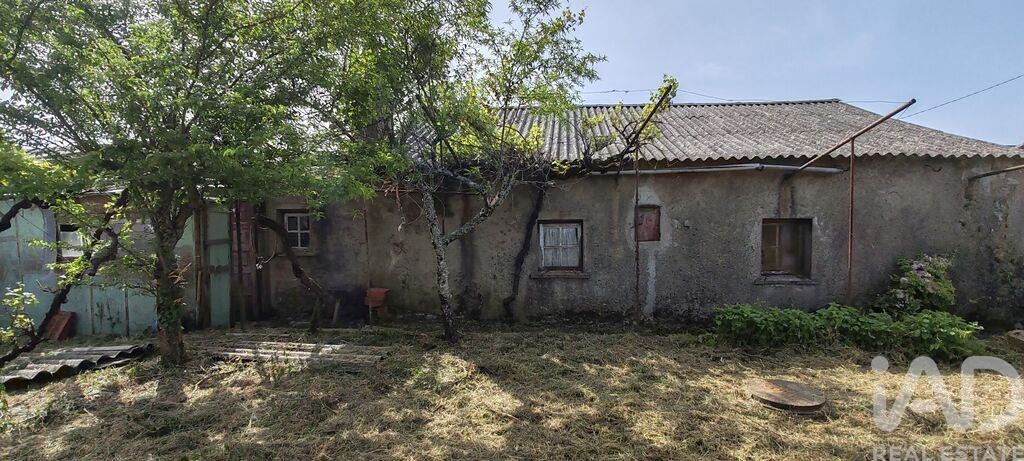 House in Avelar - Image 3